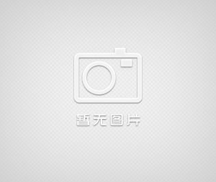 旺泉DBY電動(dòng)隔膜泵